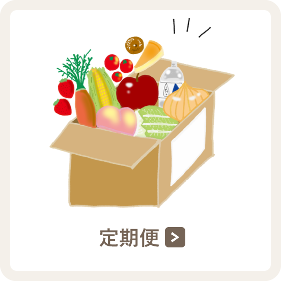定期便